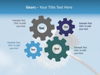 Wonderful Spring Time PowerPoint Template