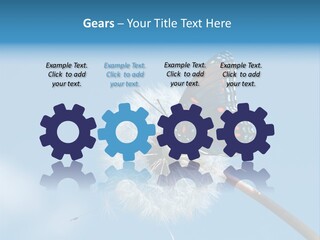 Wonderful Spring Time PowerPoint Template