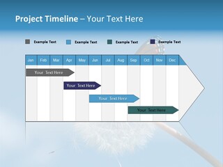 Wonderful Spring Time PowerPoint Template