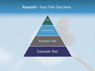 Wonderful Spring Time PowerPoint Template