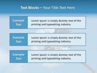 Wonderful Spring Time PowerPoint Template