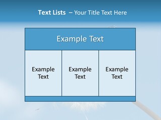 Wonderful Spring Time PowerPoint Template