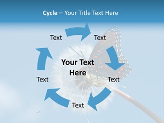 Wonderful Spring Time PowerPoint Template