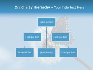 Wonderful Spring Time PowerPoint Template