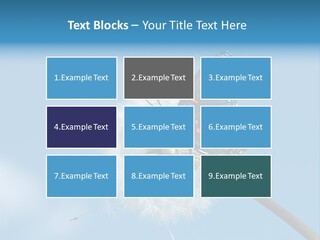 Wonderful Spring Time PowerPoint Template