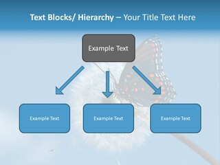 Wonderful Spring Time PowerPoint Template