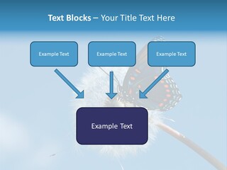 Wonderful Spring Time PowerPoint Template