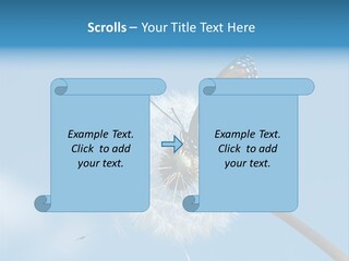 Wonderful Spring Time PowerPoint Template