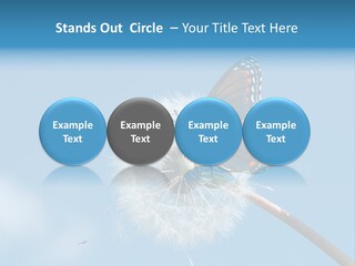 Wonderful Spring Time PowerPoint Template