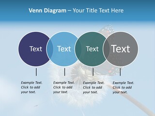 Wonderful Spring Time PowerPoint Template