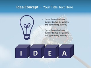 Wonderful Spring Time PowerPoint Template