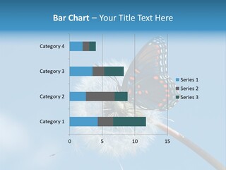 Wonderful Spring Time PowerPoint Template
