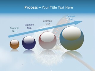 Wonderful Spring Time PowerPoint Template