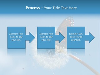 Wonderful Spring Time PowerPoint Template