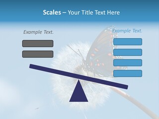 Wonderful Spring Time PowerPoint Template