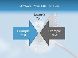 Wonderful Spring Time PowerPoint Template