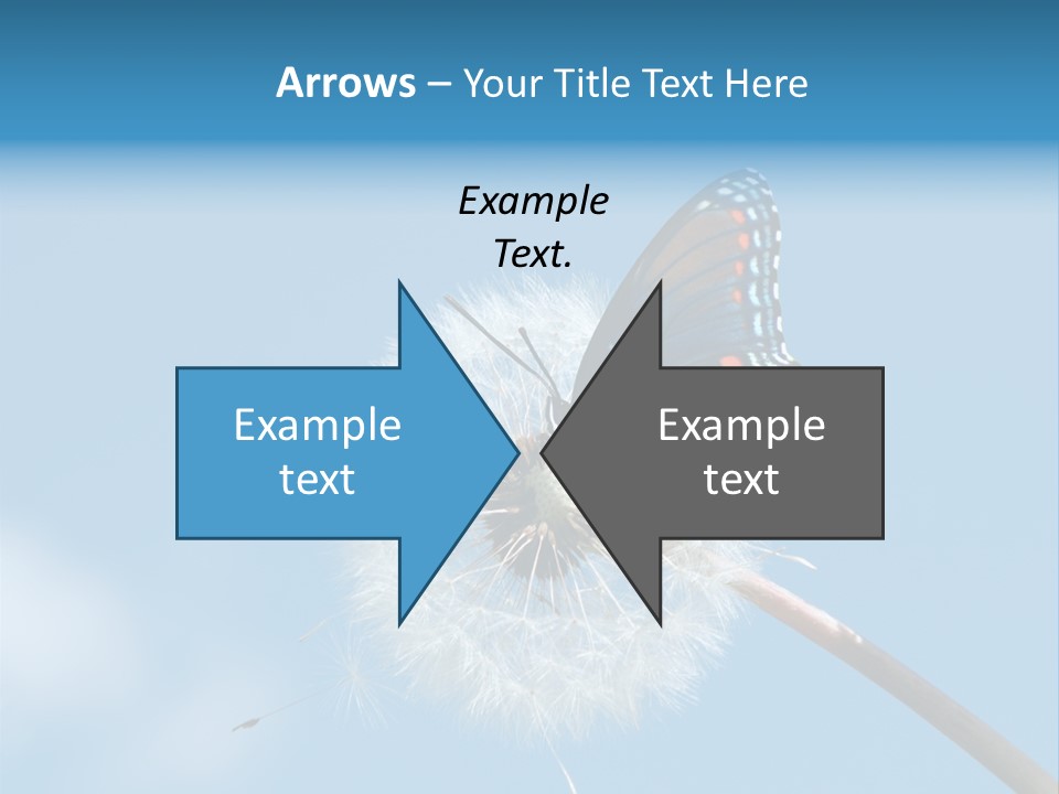 Wonderful Spring Time PowerPoint Template