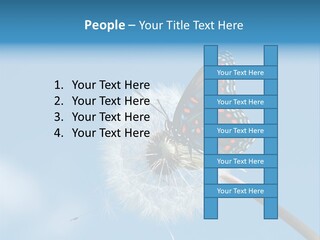 Wonderful Spring Time PowerPoint Template