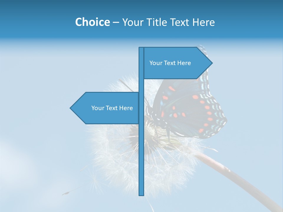 Wonderful Spring Time PowerPoint Template