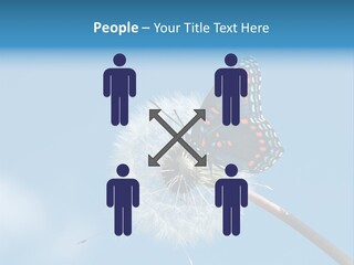 Wonderful Spring Time PowerPoint Template