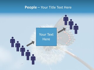 Wonderful Spring Time PowerPoint Template