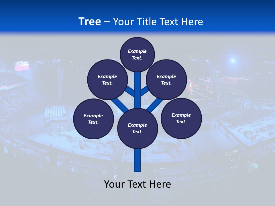 Concert On The Stadium Pano PowerPoint Template