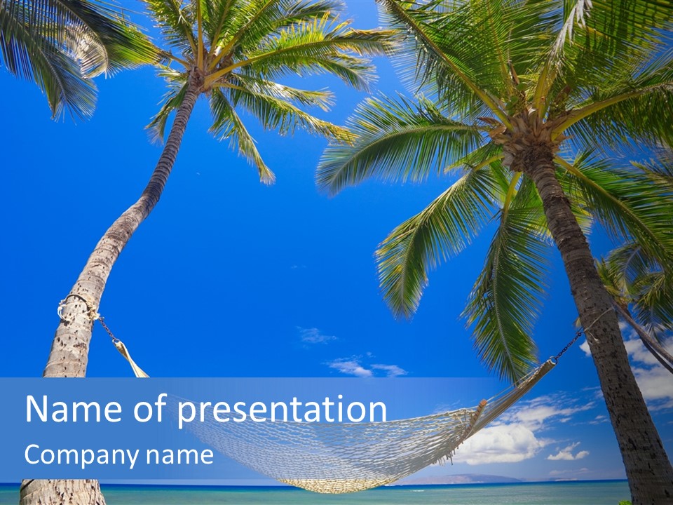 Palm Trees, Hammock, And Blue Sky, Beautiful Tropical Vacation PowerPoint Template