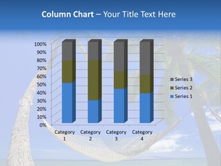 Palm Trees, Hammock, And Blue Sky, Beautiful Tropical Vacation PowerPoint Template