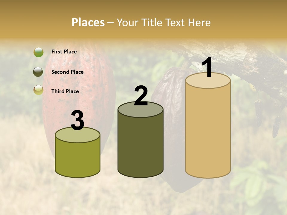 A Cocoa Plant Hanging From A Tree In A Forest PowerPoint Template