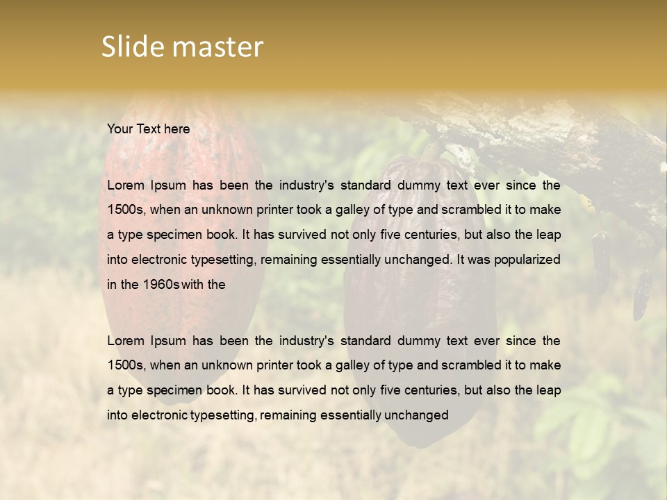 A Cocoa Plant Hanging From A Tree In A Forest PowerPoint Template