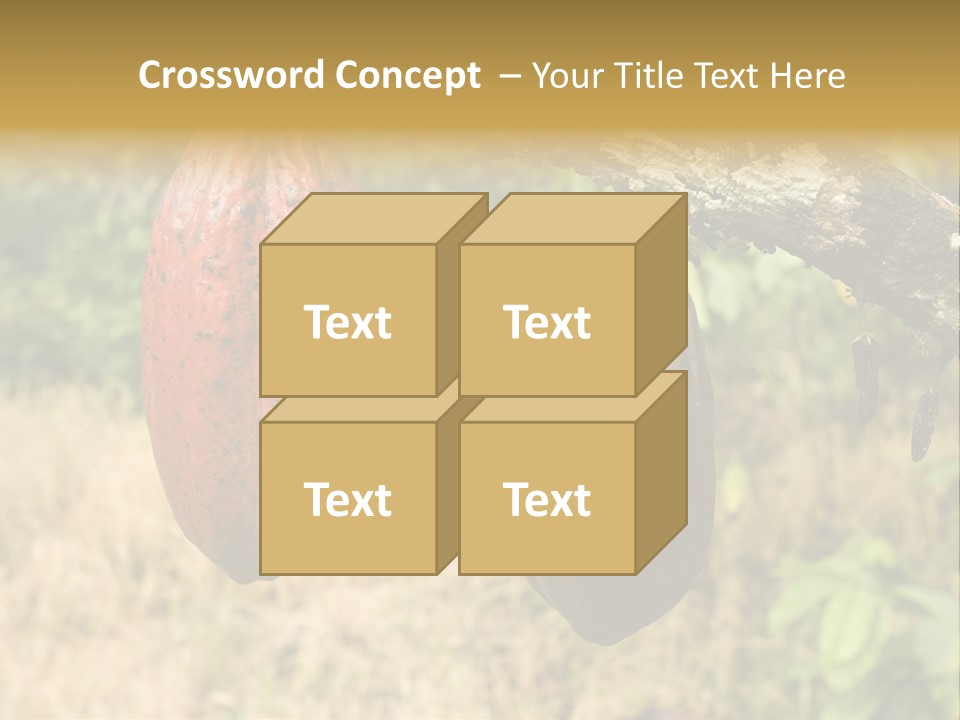 A Cocoa Plant Hanging From A Tree In A Forest PowerPoint Template