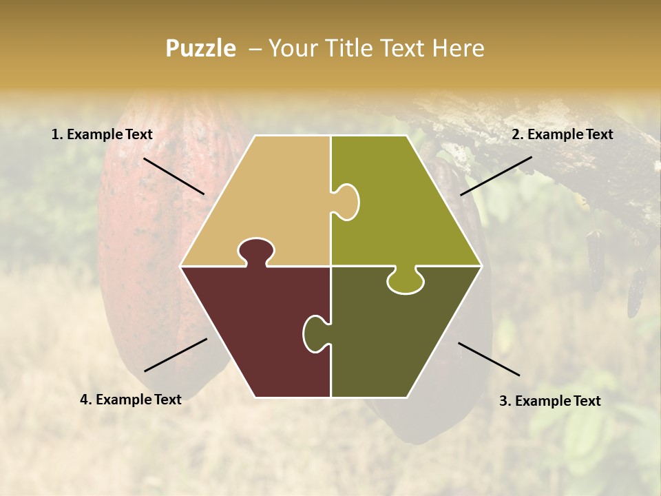 A Cocoa Plant Hanging From A Tree In A Forest PowerPoint Template