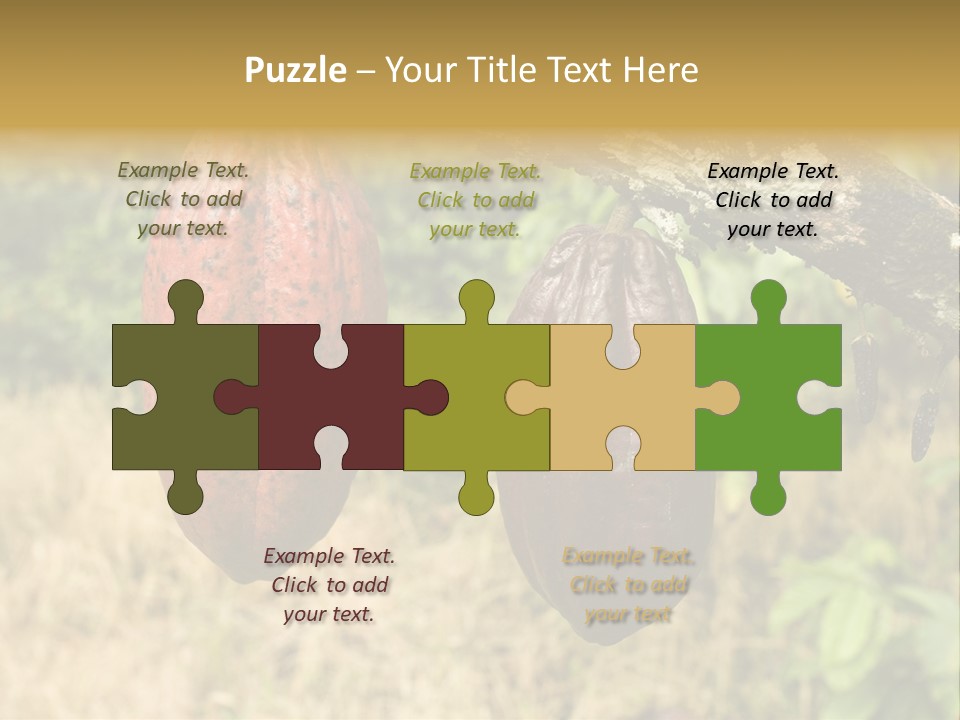 A Cocoa Plant Hanging From A Tree In A Forest PowerPoint Template