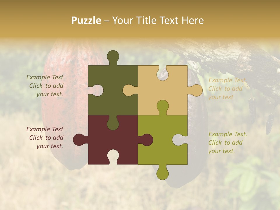 A Cocoa Plant Hanging From A Tree In A Forest PowerPoint Template