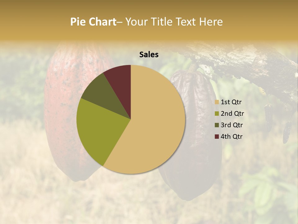 A Cocoa Plant Hanging From A Tree In A Forest PowerPoint Template