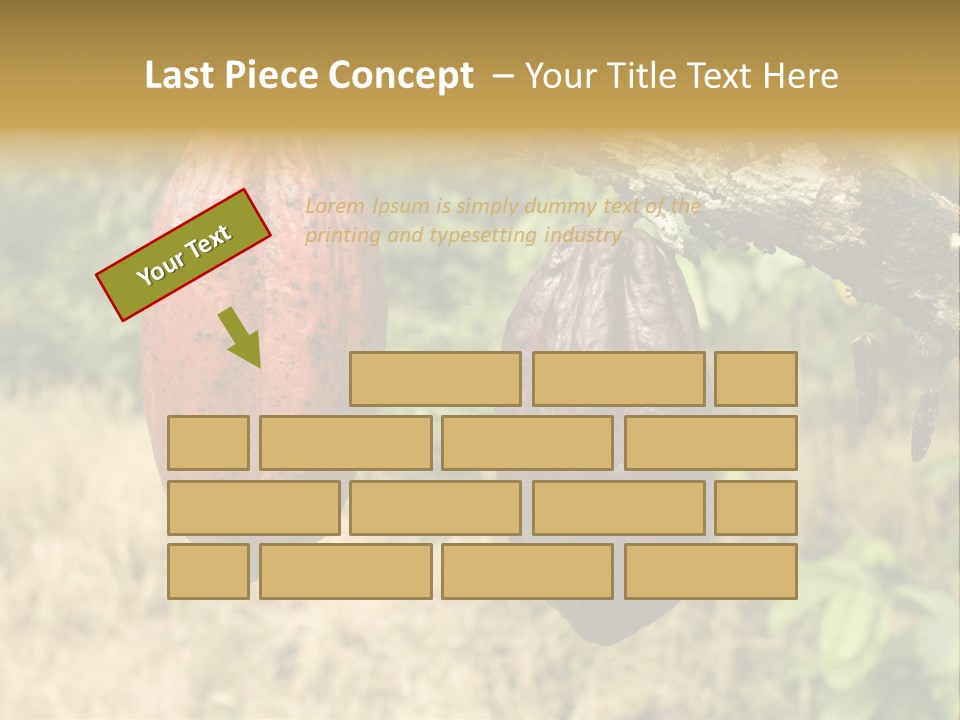 A Cocoa Plant Hanging From A Tree In A Forest PowerPoint Template