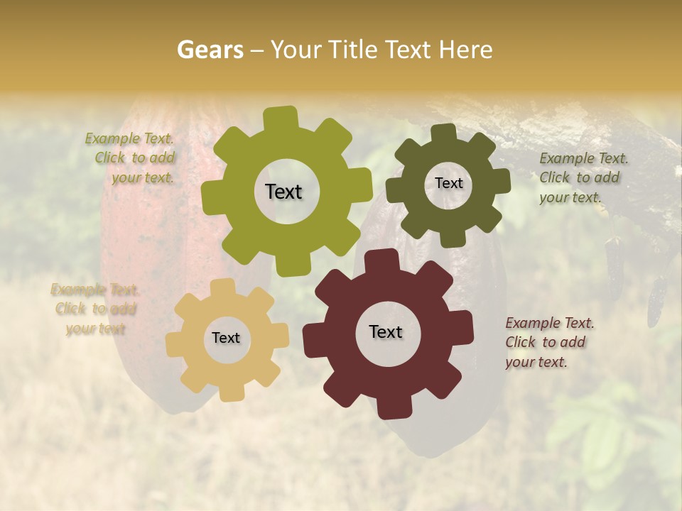 A Cocoa Plant Hanging From A Tree In A Forest PowerPoint Template