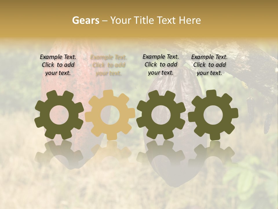 A Cocoa Plant Hanging From A Tree In A Forest PowerPoint Template