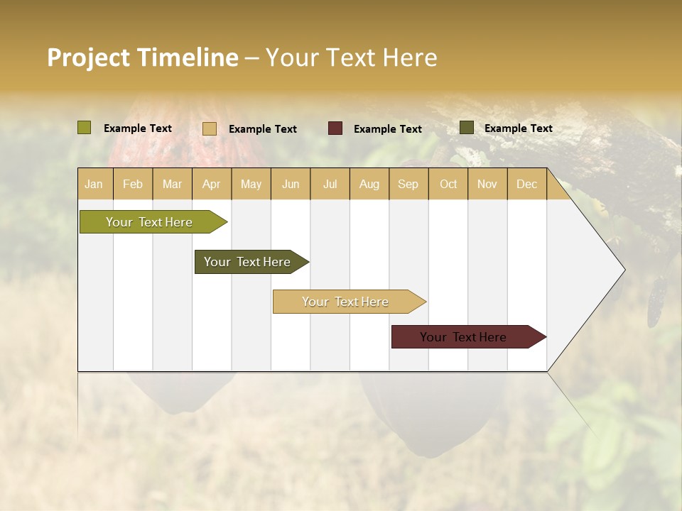 A Cocoa Plant Hanging From A Tree In A Forest PowerPoint Template