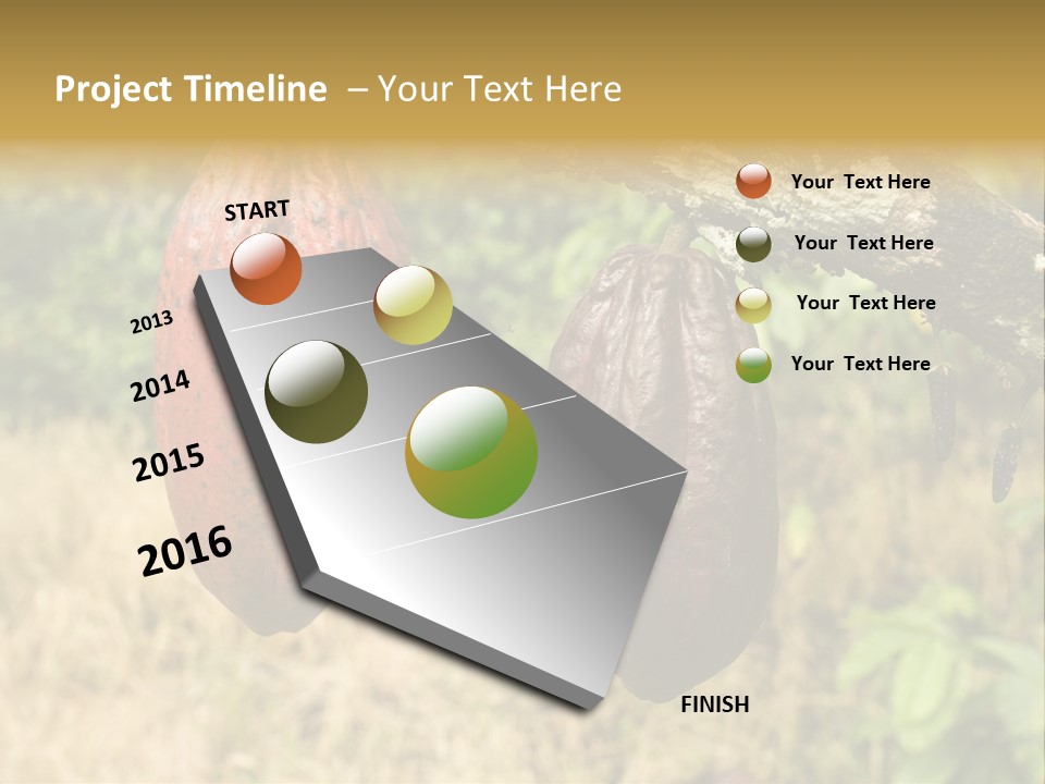 A Cocoa Plant Hanging From A Tree In A Forest PowerPoint Template