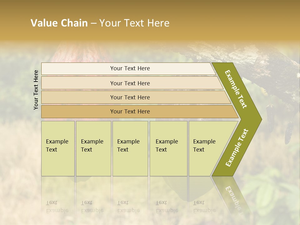 A Cocoa Plant Hanging From A Tree In A Forest PowerPoint Template