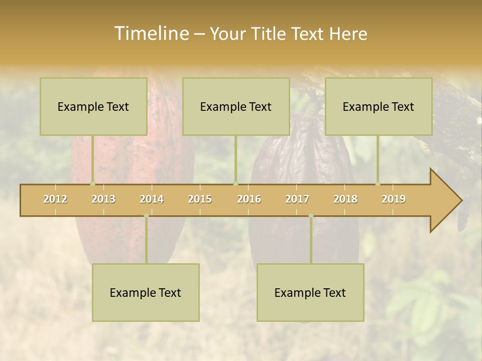 A Cocoa Plant Hanging From A Tree In A Forest PowerPoint Template