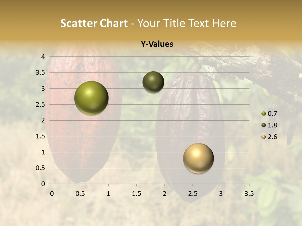 A Cocoa Plant Hanging From A Tree In A Forest PowerPoint Template