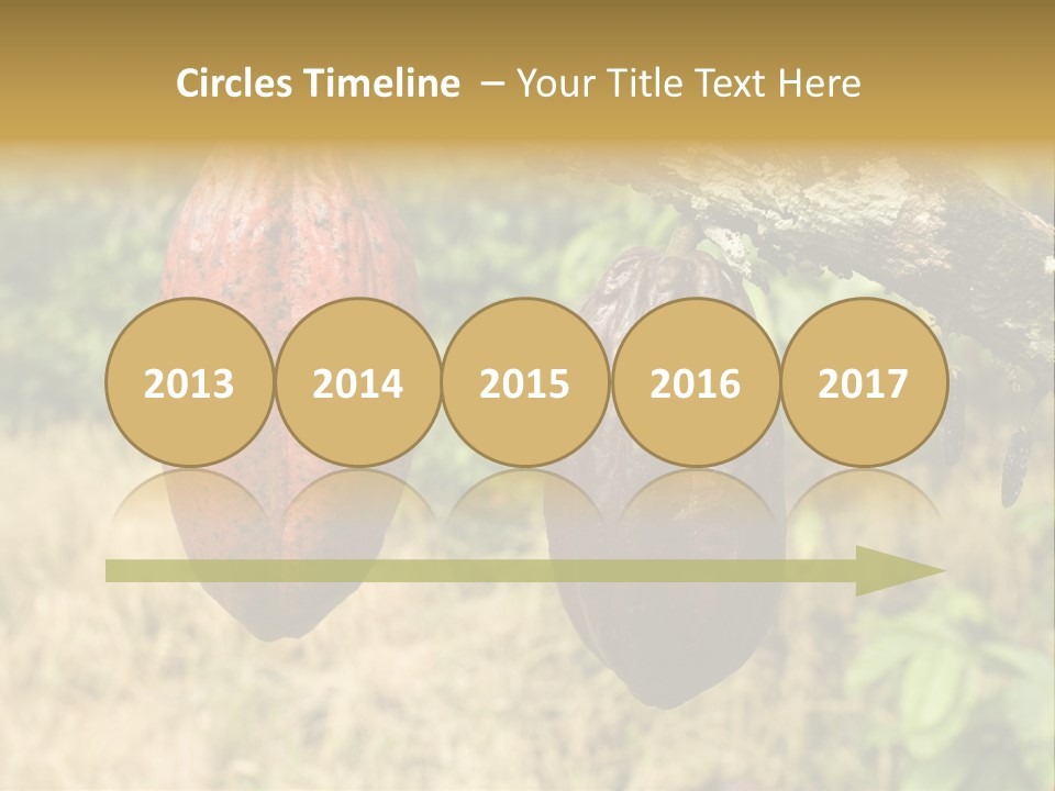 A Cocoa Plant Hanging From A Tree In A Forest PowerPoint Template