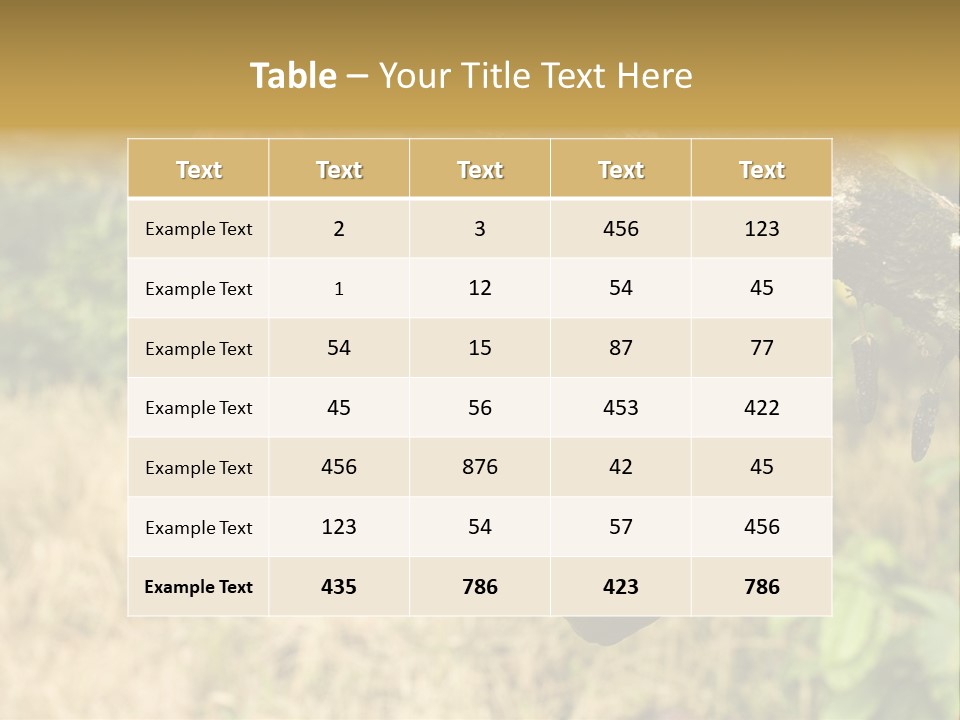 A Cocoa Plant Hanging From A Tree In A Forest PowerPoint Template