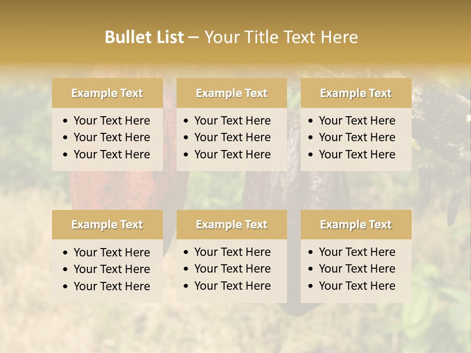 A Cocoa Plant Hanging From A Tree In A Forest PowerPoint Template