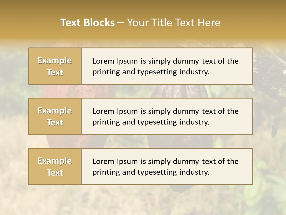 A Cocoa Plant Hanging From A Tree In A Forest PowerPoint Template