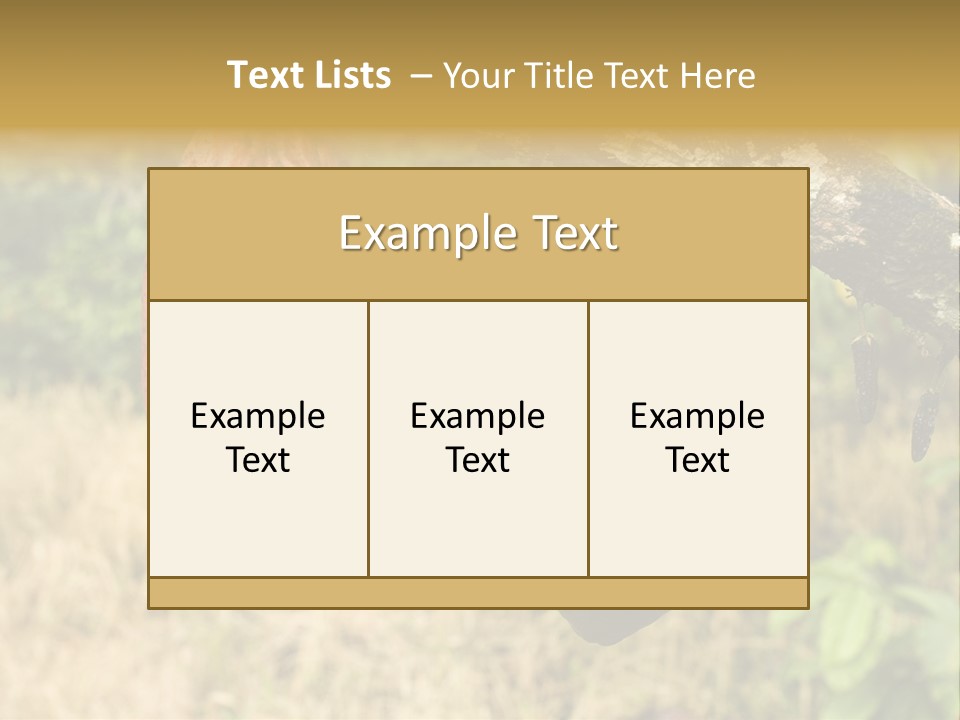 A Cocoa Plant Hanging From A Tree In A Forest PowerPoint Template