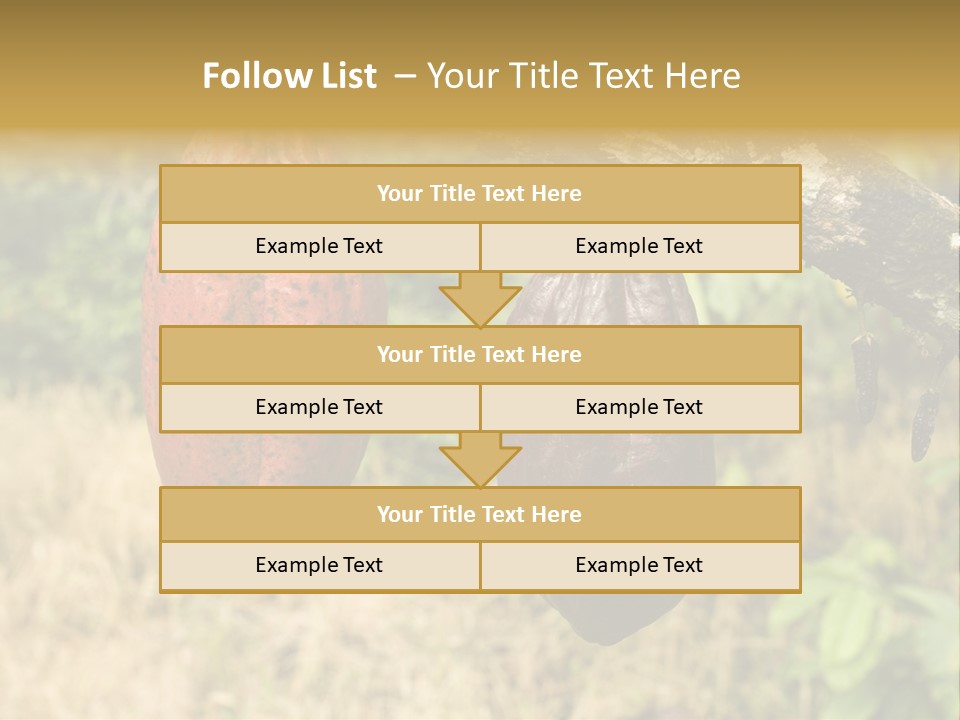 A Cocoa Plant Hanging From A Tree In A Forest PowerPoint Template