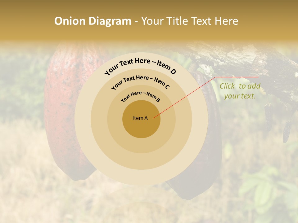 A Cocoa Plant Hanging From A Tree In A Forest PowerPoint Template